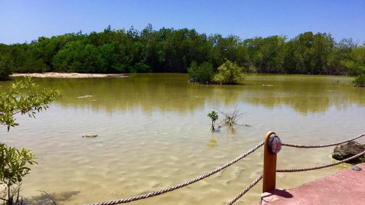 Palo Santo Galapagos Hotel プエルトアヨラ エクステリア 写真